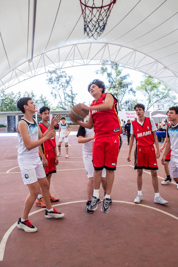 Ir a la Siguiente Foto