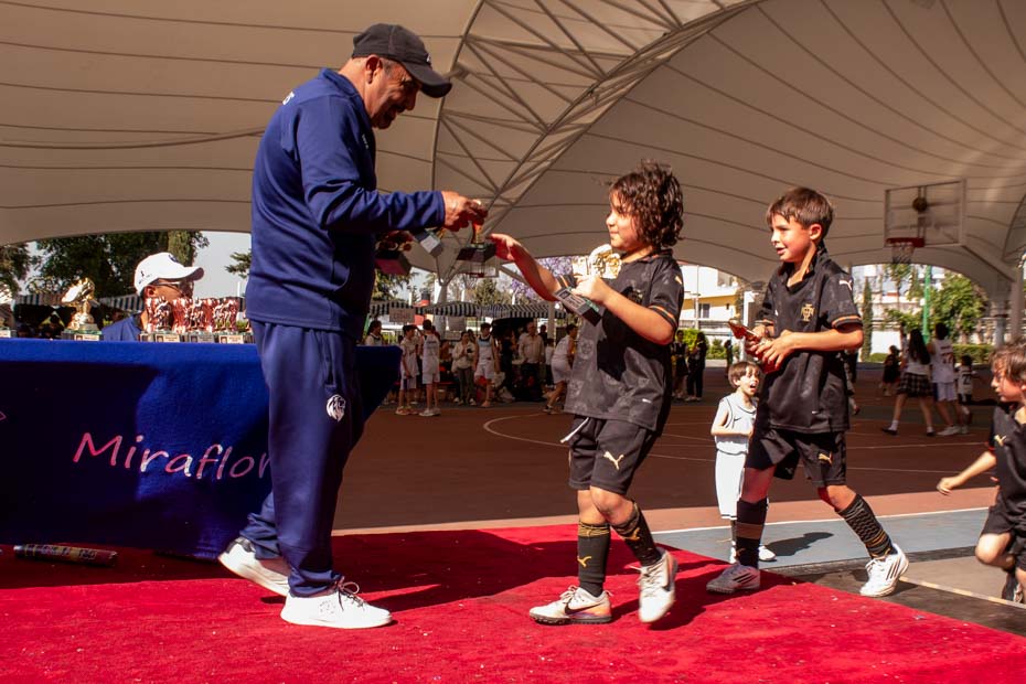 Ir a la Siguiente Foto