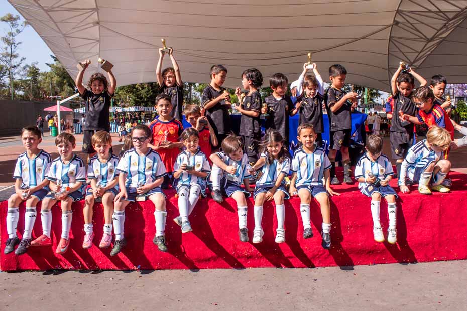 Ir a la Siguiente Foto