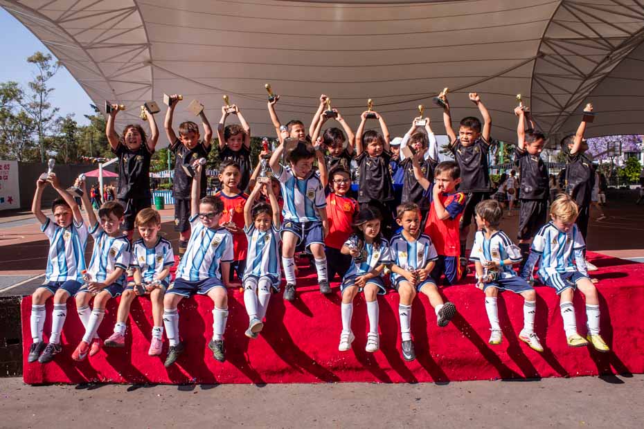 Ir a la Siguiente Foto