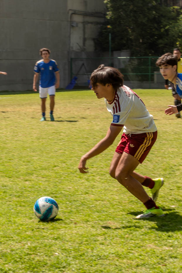 Ir a la Siguiente Foto