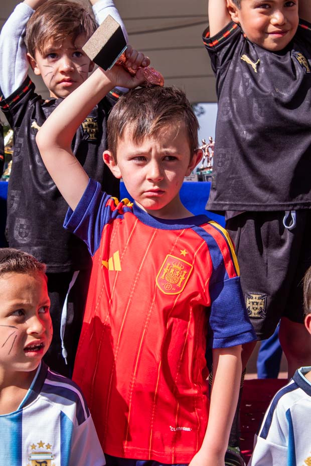 Ir a la Siguiente Foto