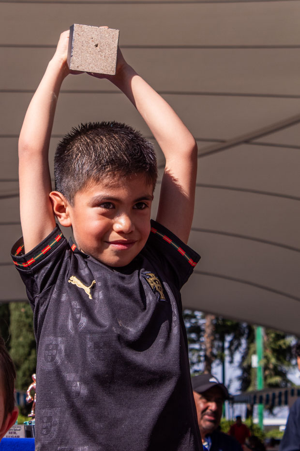 Ir a la Siguiente Foto