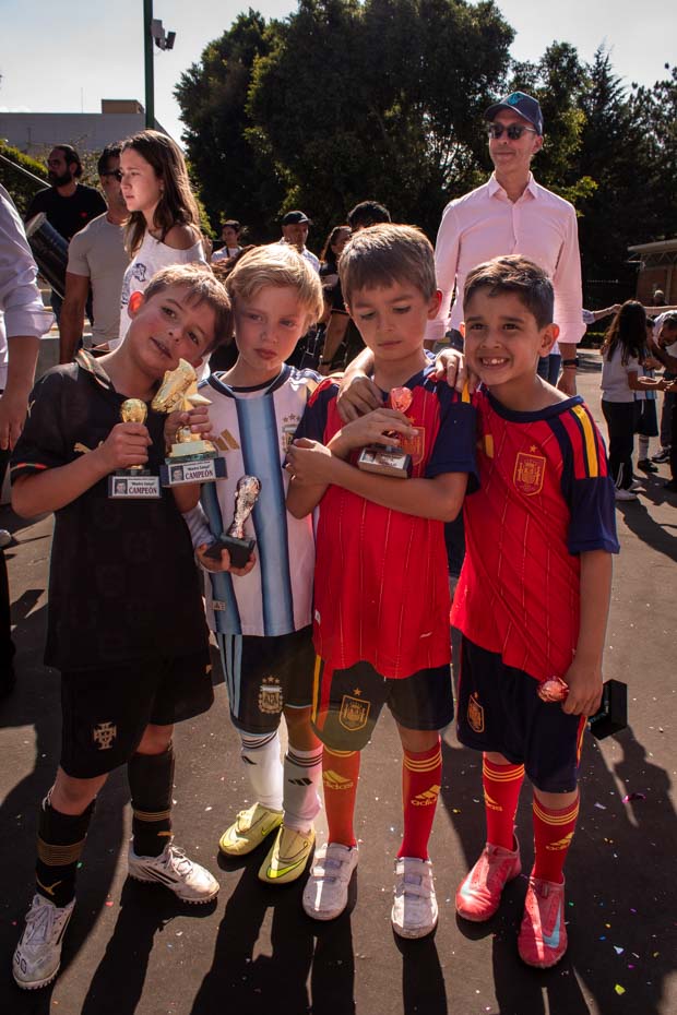 Ir a la Siguiente Foto