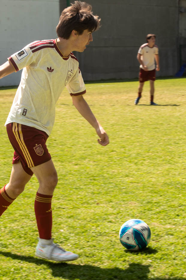 Ir a la Siguiente Foto