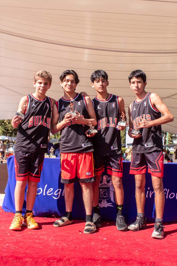 Ir a la Siguiente Foto