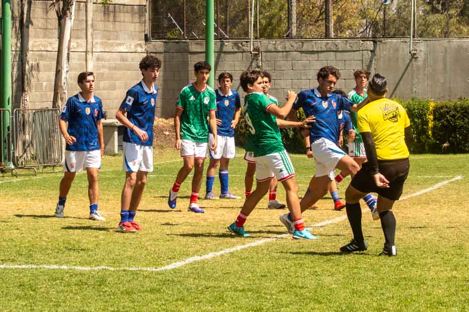 Ir a la Siguiente Foto