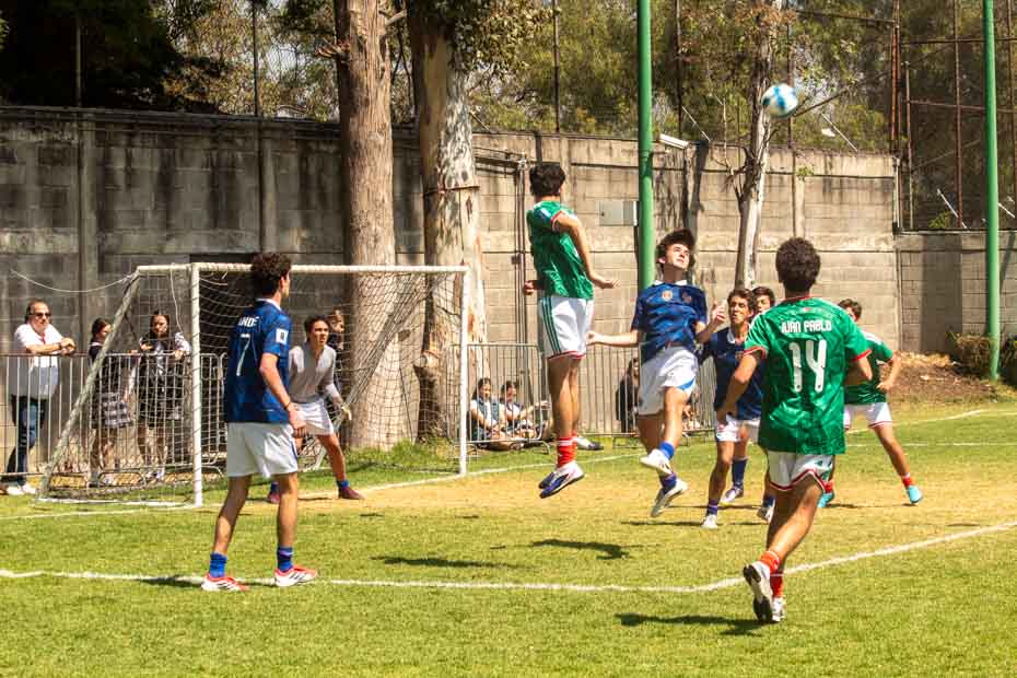 Ir a la Siguiente Foto