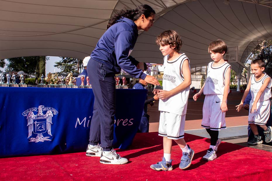 Ir a la Siguiente Foto