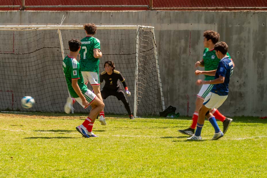 Ir a la Siguiente Foto