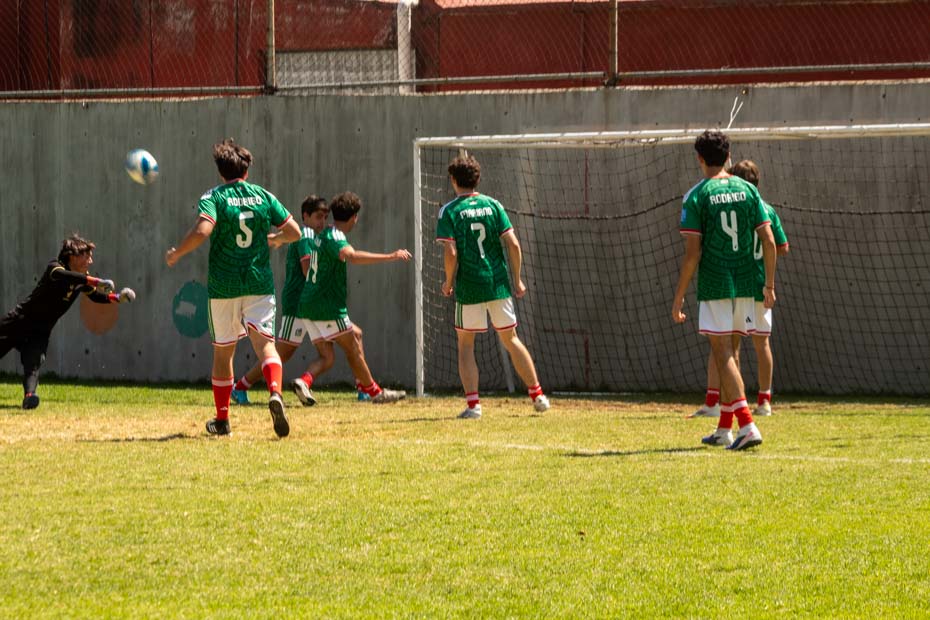 Ir a la Siguiente Foto