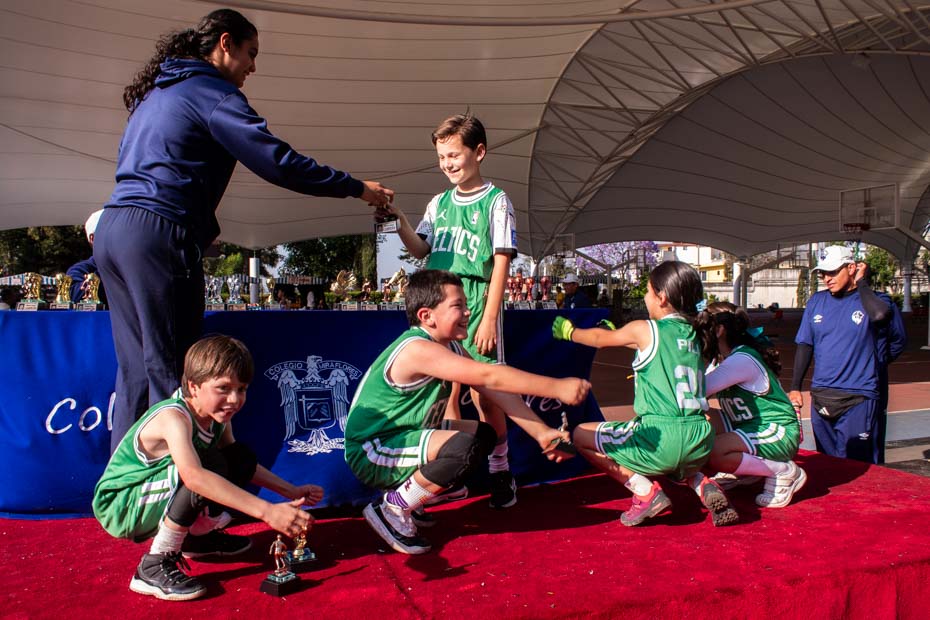 Ir a la Siguiente Foto