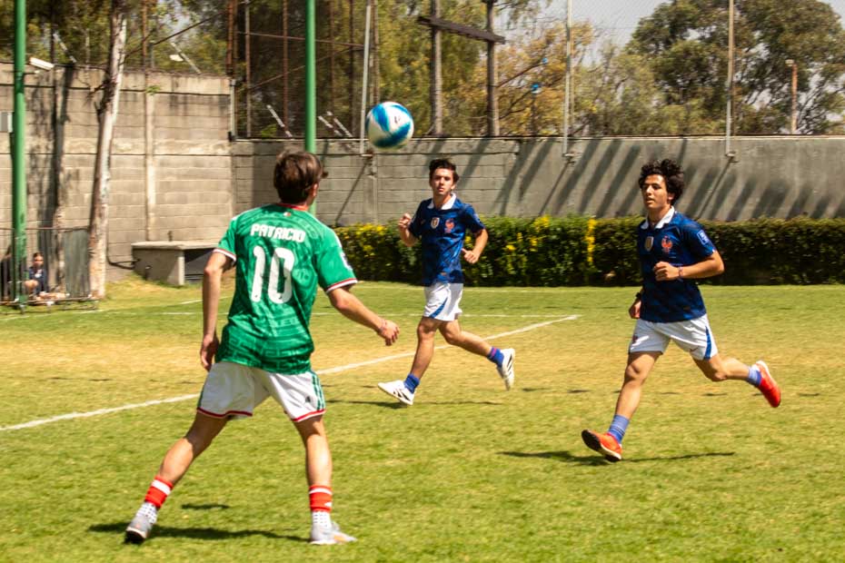 Ir a la Siguiente Foto