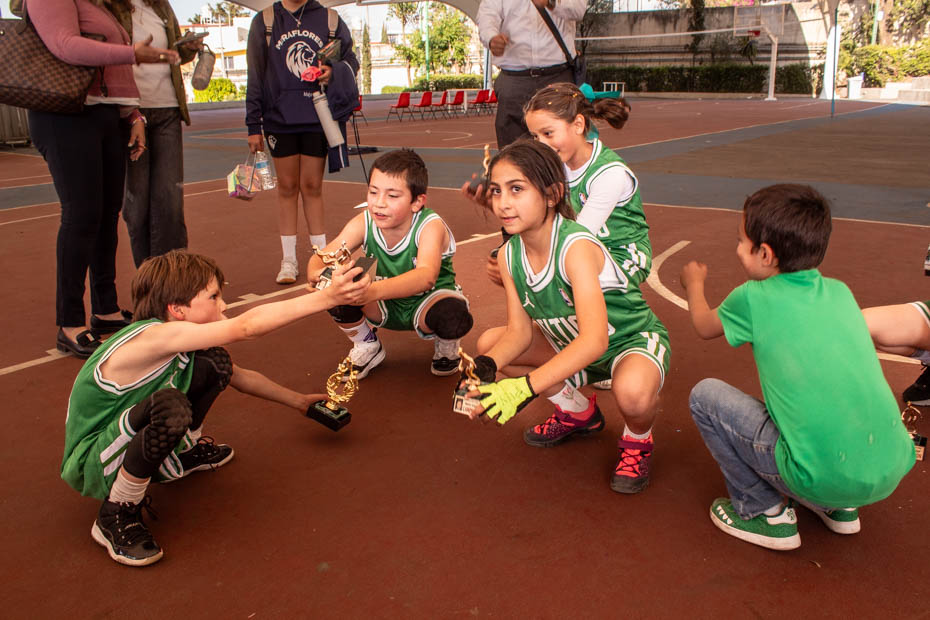 Ir a la Siguiente Foto