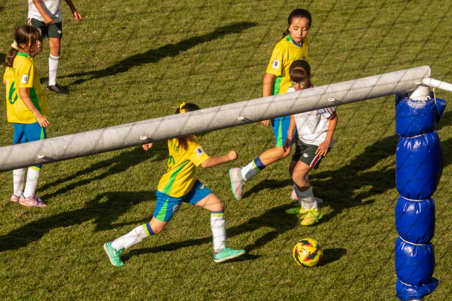 Ir a la Siguiente Foto