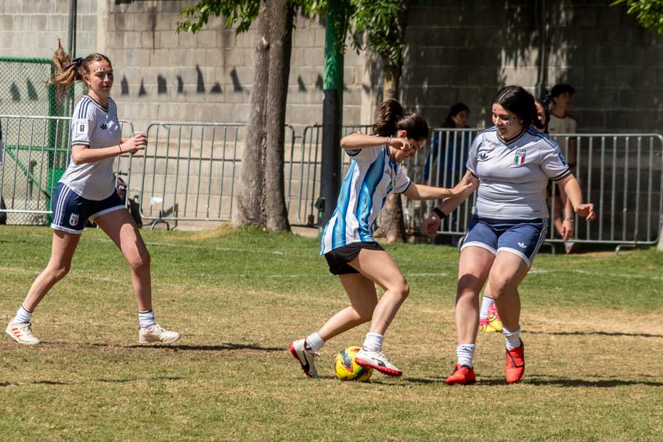 Ir a la Siguiente Foto