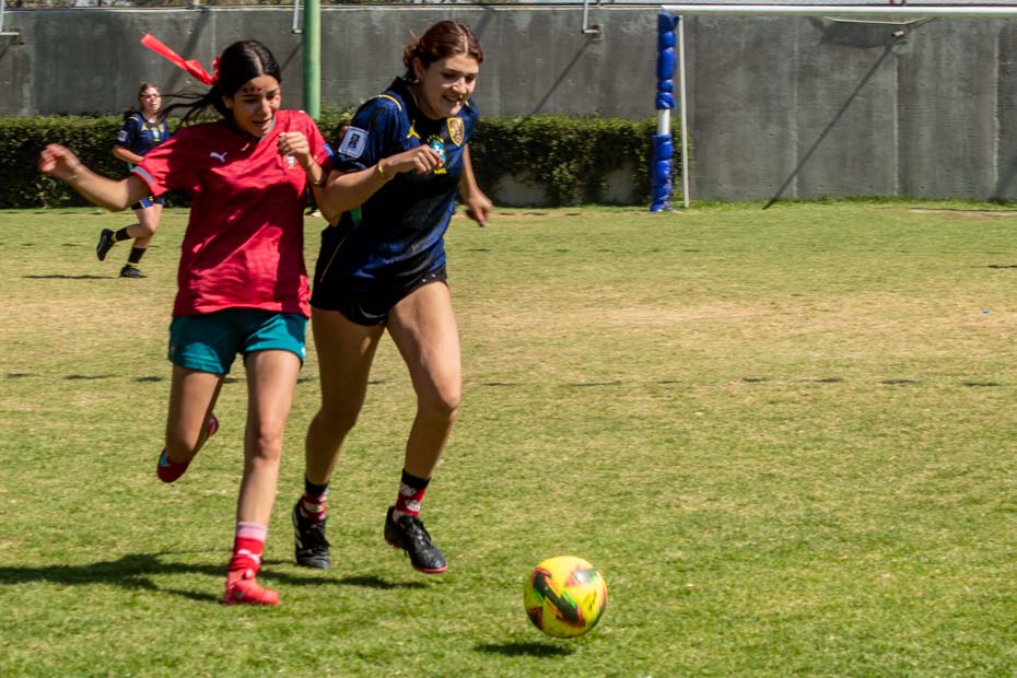 Ir a la Siguiente Foto