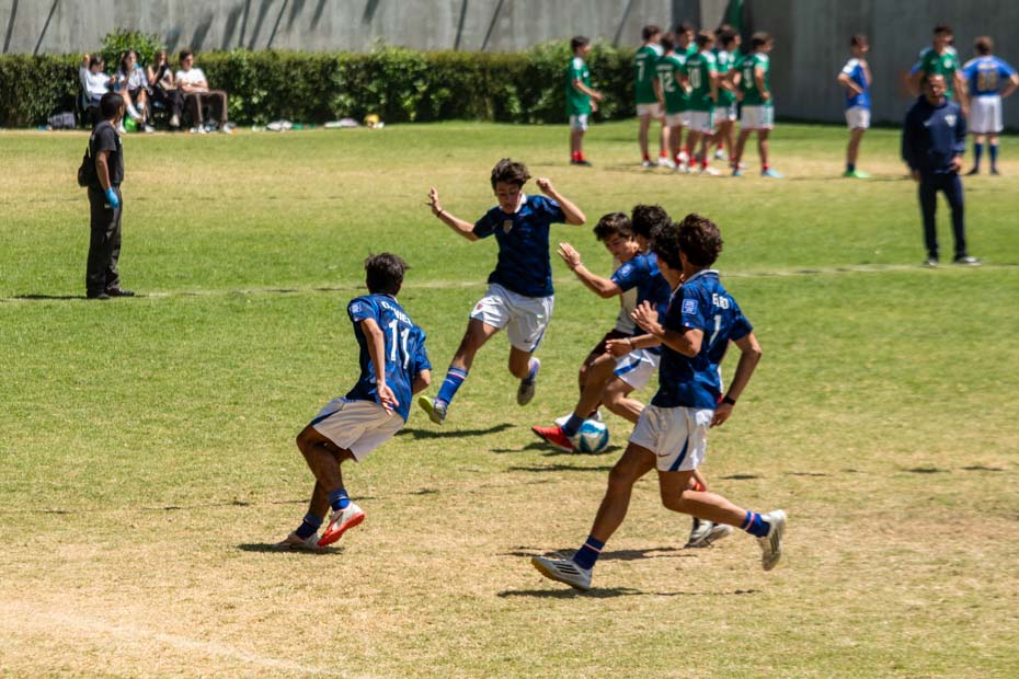 Ir a la Siguiente Foto