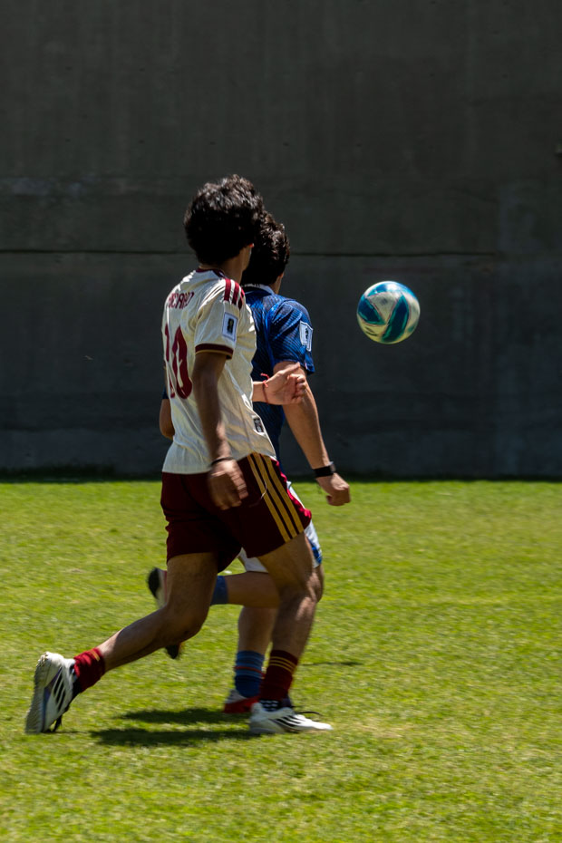 Ir a la Siguiente Foto