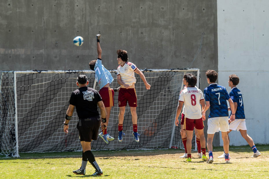 Ir a la Siguiente Foto