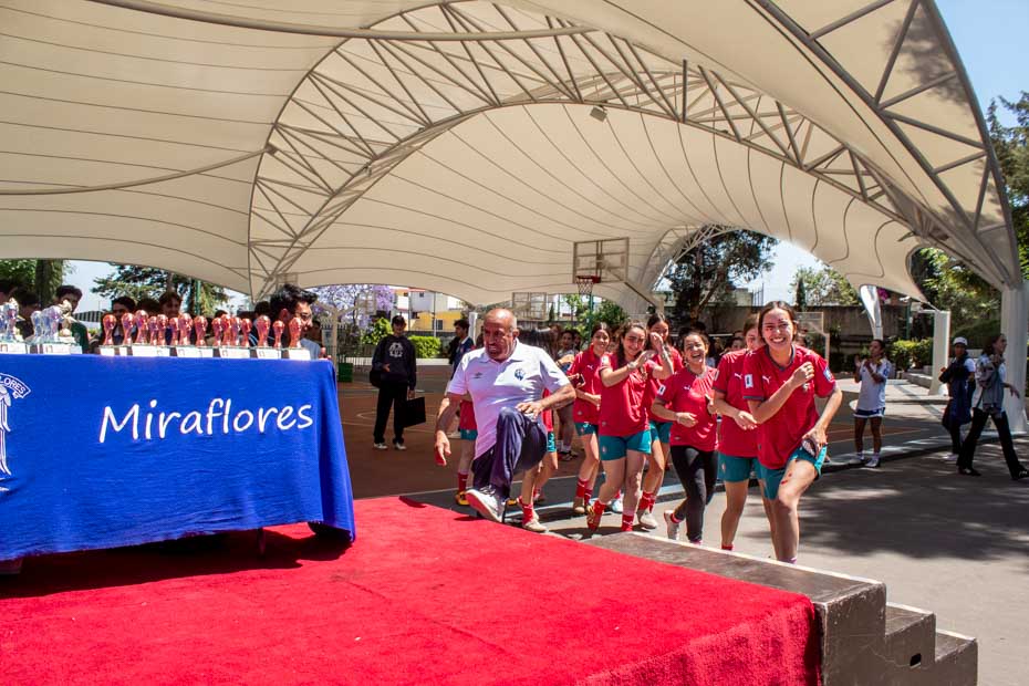 Ir a la Siguiente Foto