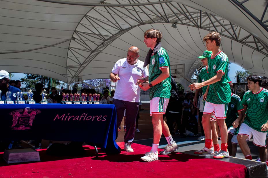 Ir a la Siguiente Foto