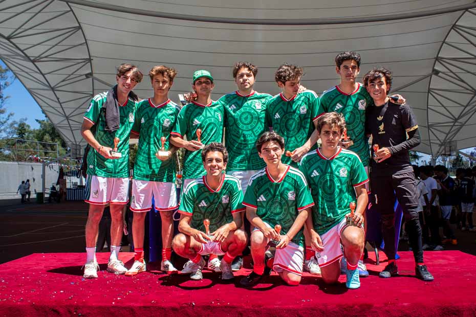 Ir a la Siguiente Foto