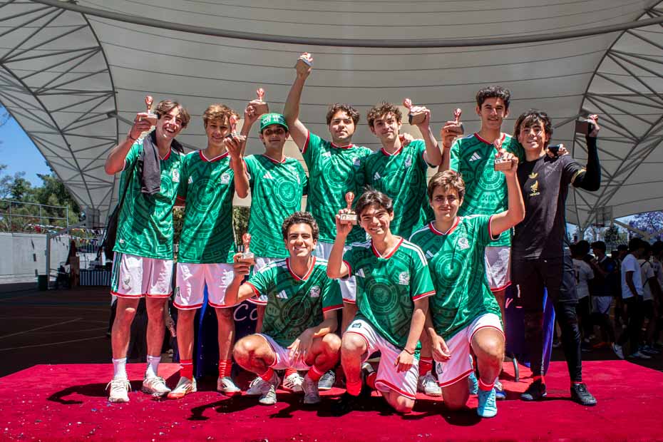 Ir a la Siguiente Foto