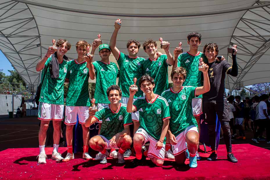 Ir a la Siguiente Foto