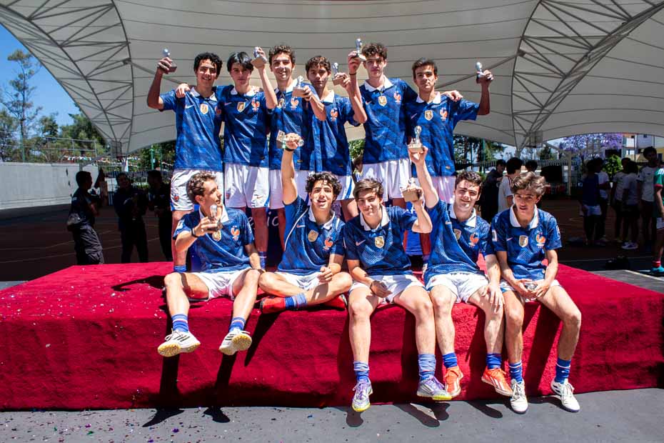 Ir a la Siguiente Foto