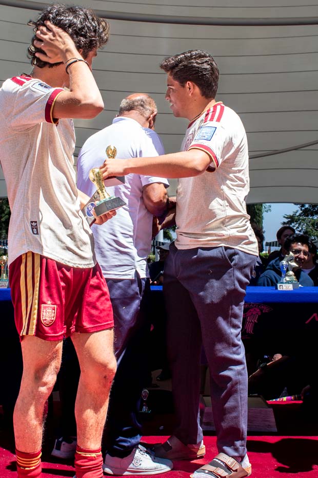 Ir a la Siguiente Foto