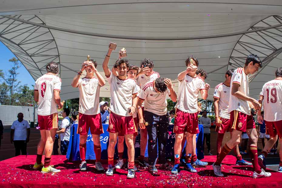 Ir a la Siguiente Foto