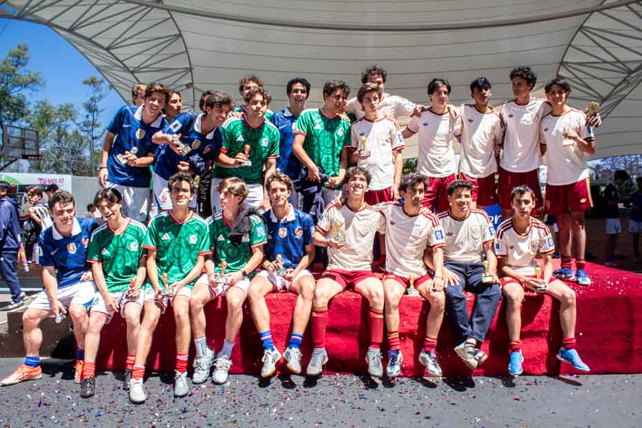 Ir a la Siguiente Foto