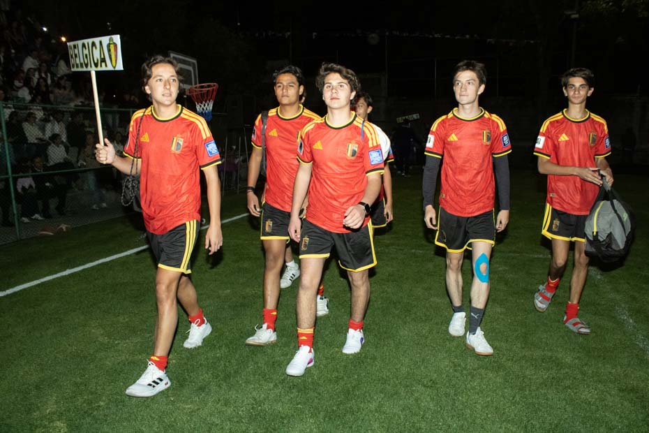 Ir a la Siguiente Foto