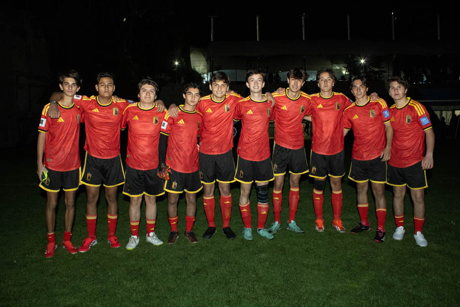 Ir a la Siguiente Foto