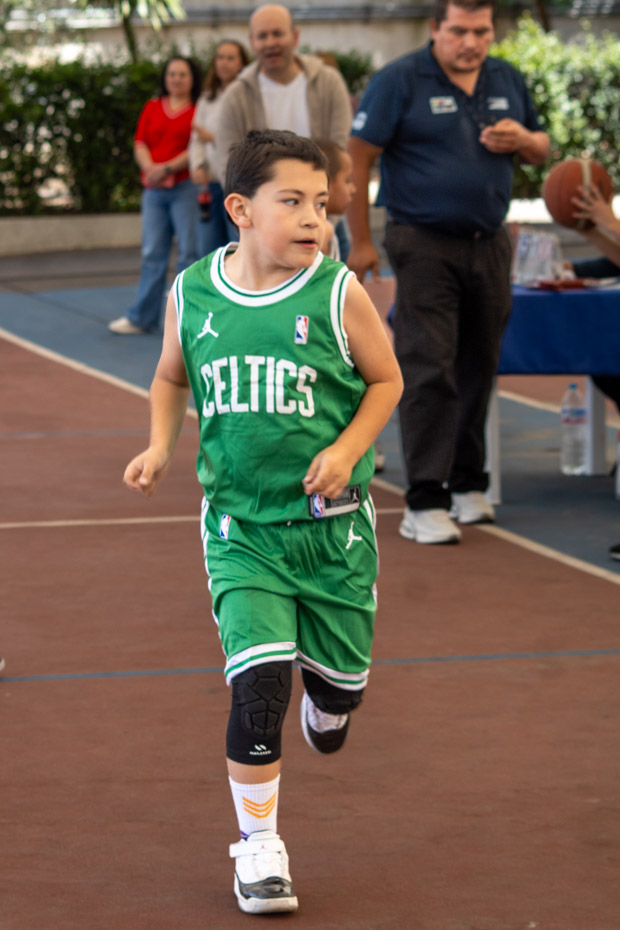 Ir a la Siguiente Foto