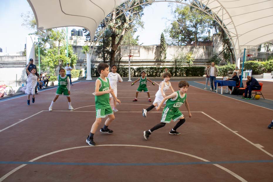 Ir a la Siguiente Foto