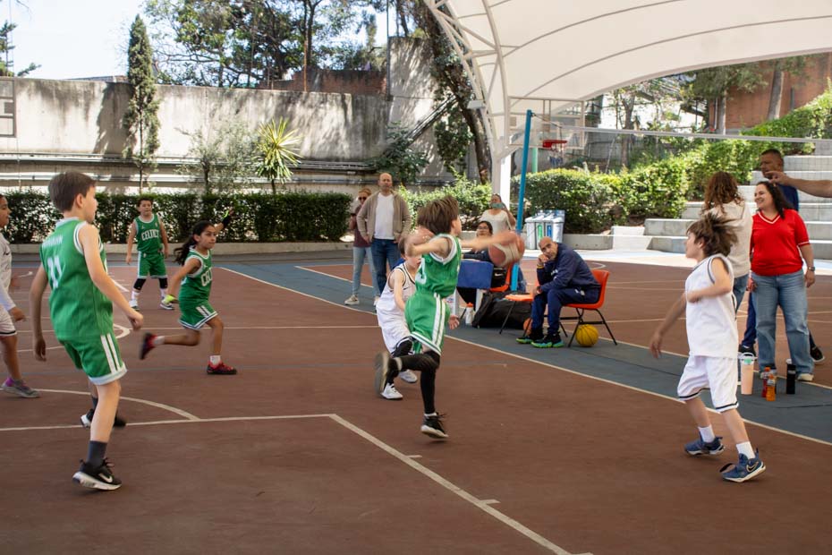 Ir a la Siguiente Foto