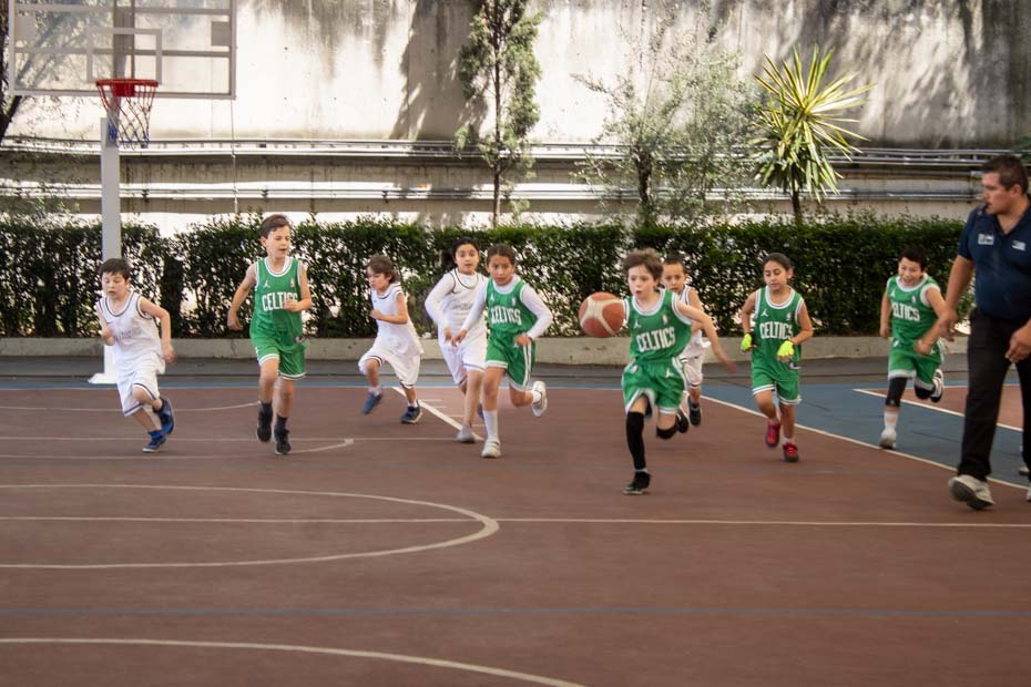 Ir a la Siguiente Foto