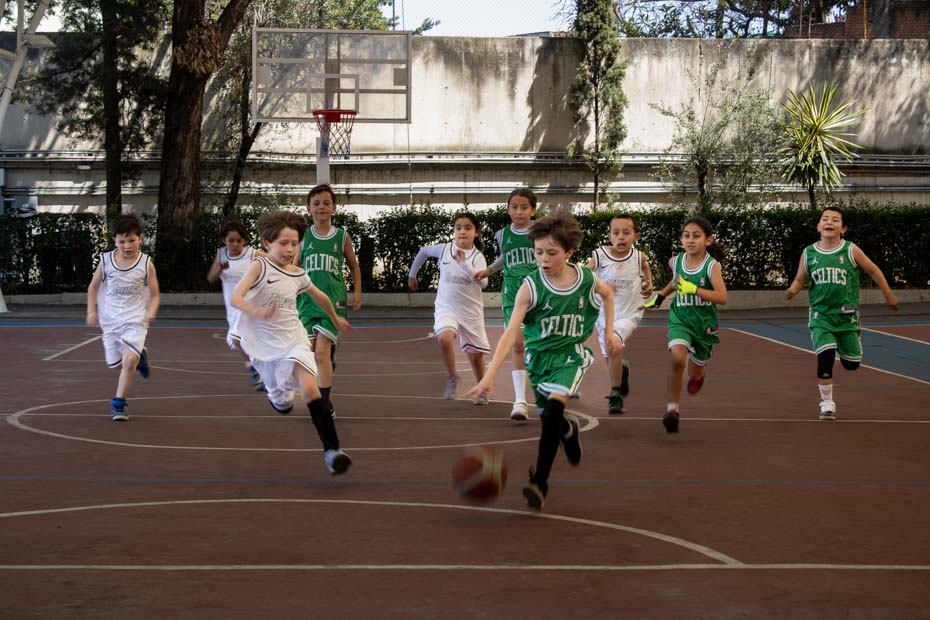 Ir a la Siguiente Foto