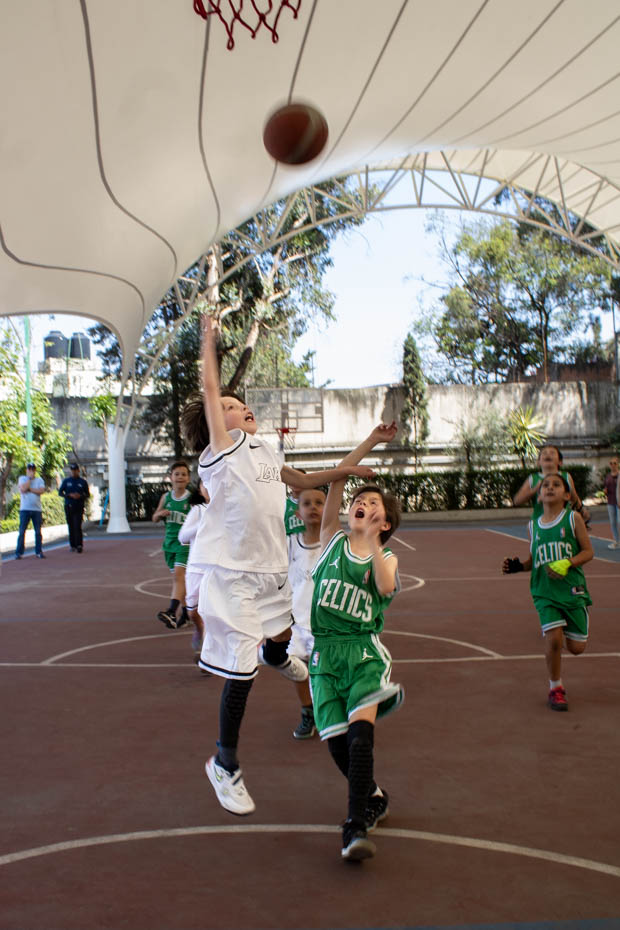 Ir a la Siguiente Foto