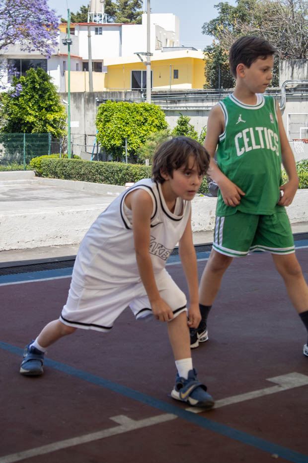 Ir a la Siguiente Foto