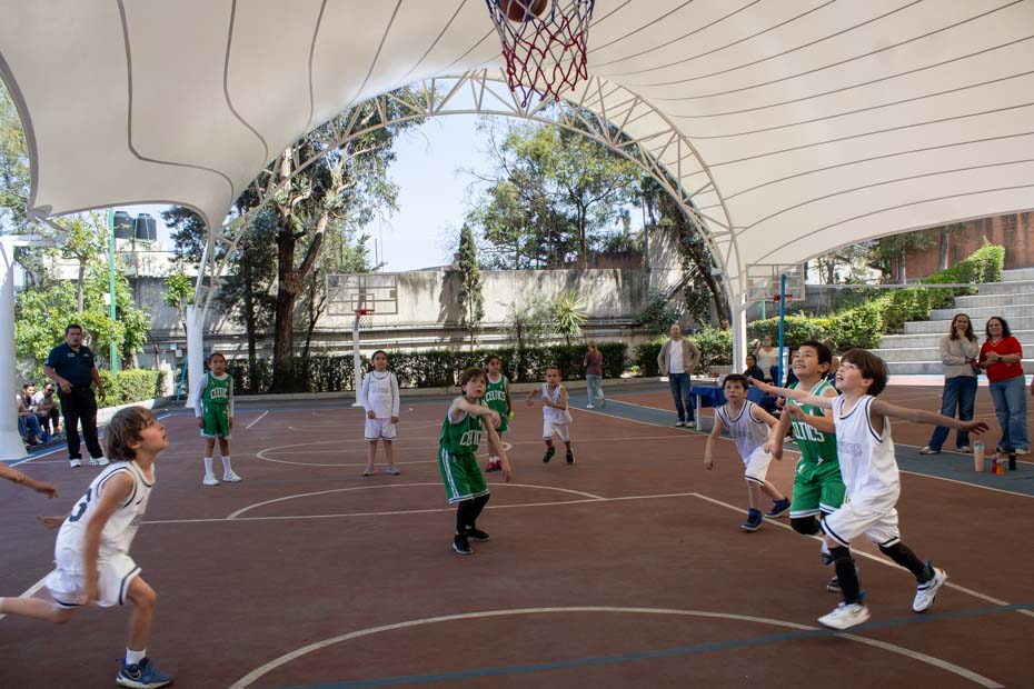 Ir a la Siguiente Foto