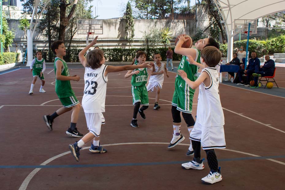 Ir a la Siguiente Foto