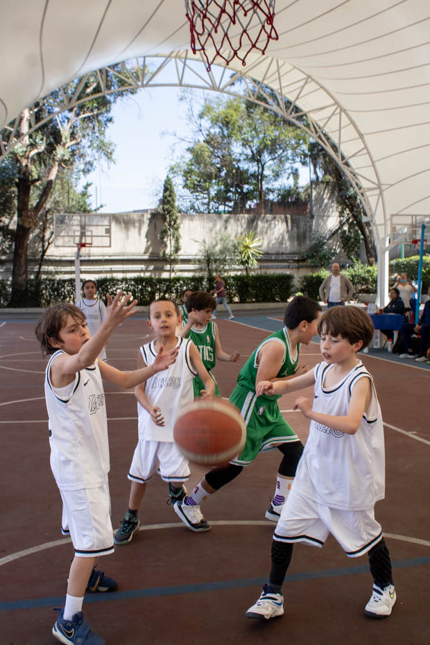 Ir a la Siguiente Foto