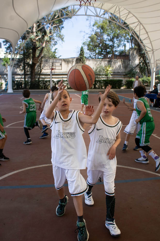 Ir a la Siguiente Foto