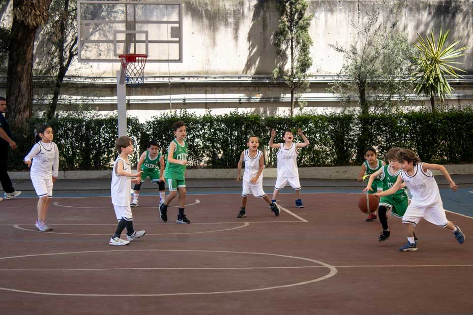 Ir a la Siguiente Foto