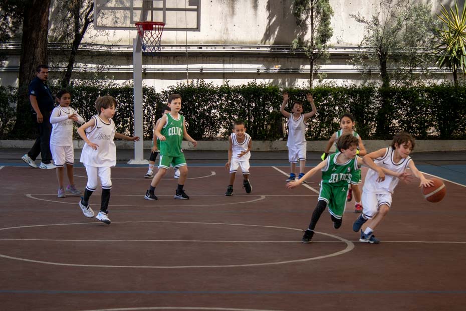 Ir a la Siguiente Foto