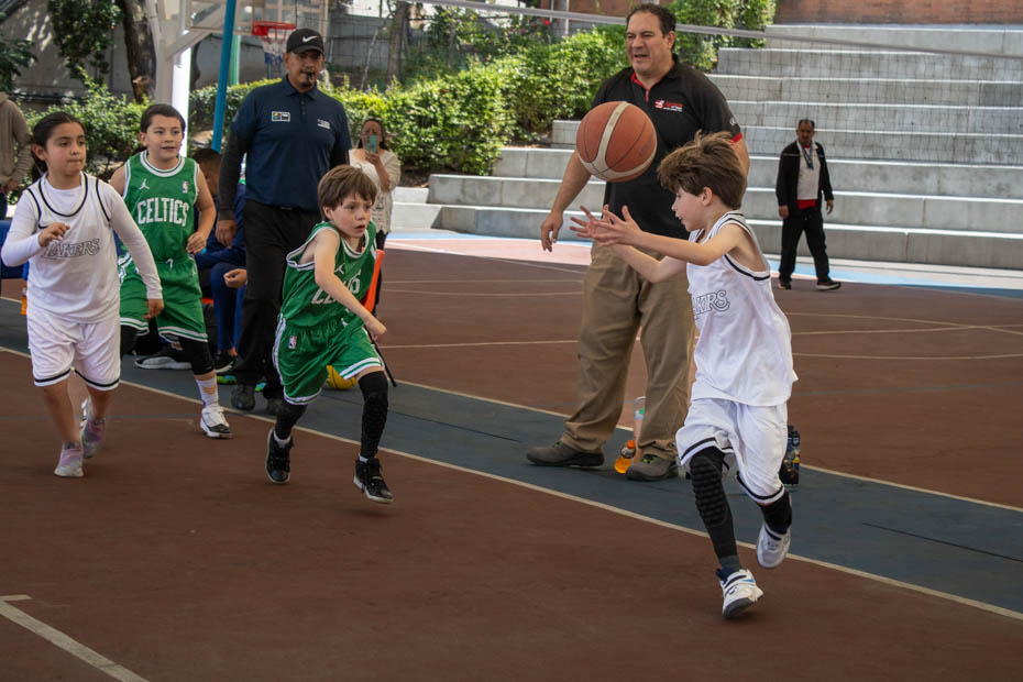 Ir a la Siguiente Foto