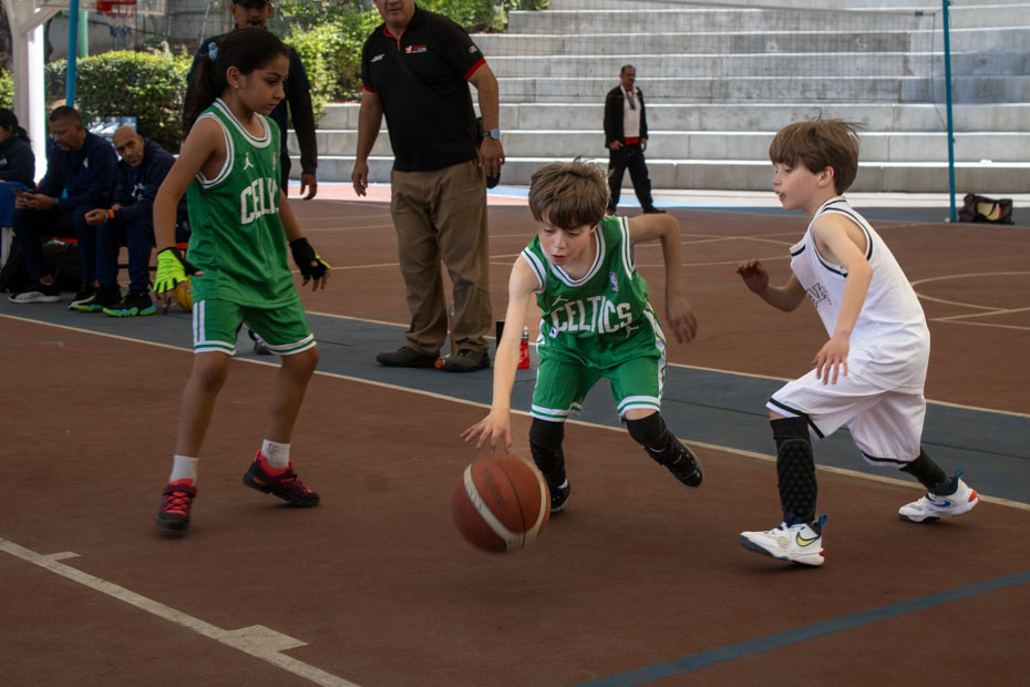 Ir a la Siguiente Foto